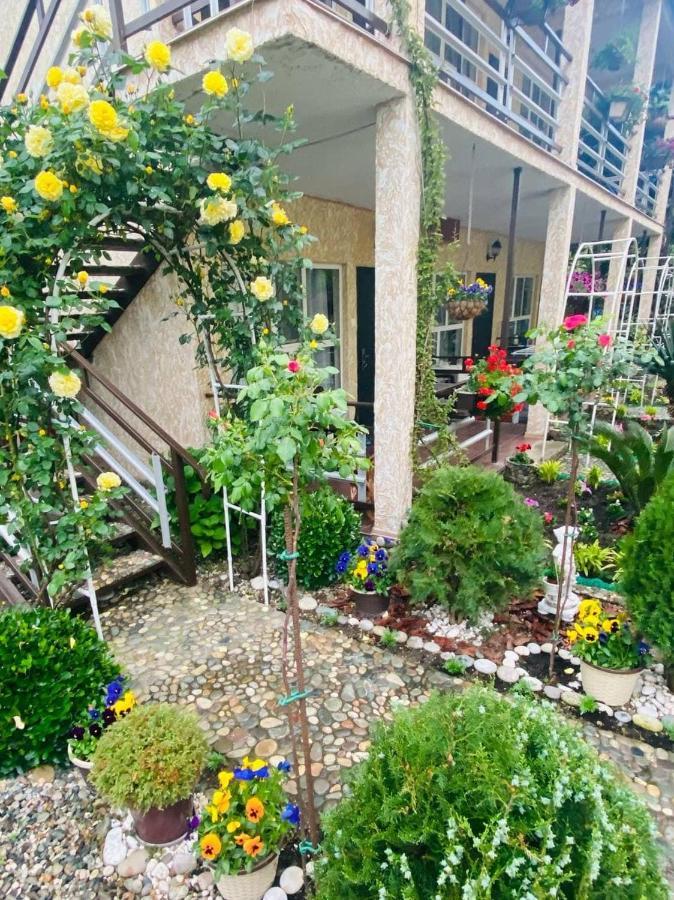 Мини-Отель Дарья В Пицунде Pitsunda Exterior foto