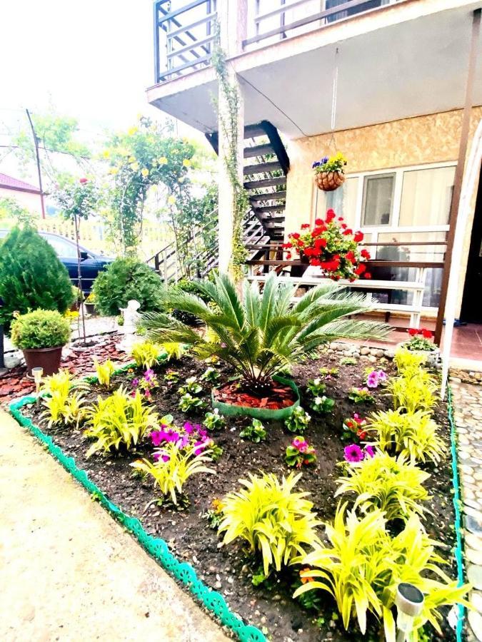 Мини-Отель Дарья В Пицунде Pitsunda Exterior foto